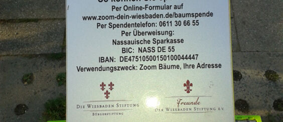 Zoom, Wiesbaden Stiftung, Isingermerz, Baumsponsoring, Baumpflanzen
